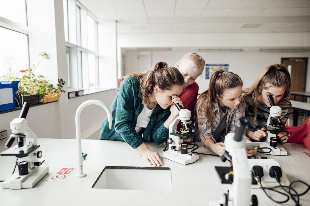 En gruppe skoleungdom som undersøker med mikroskop