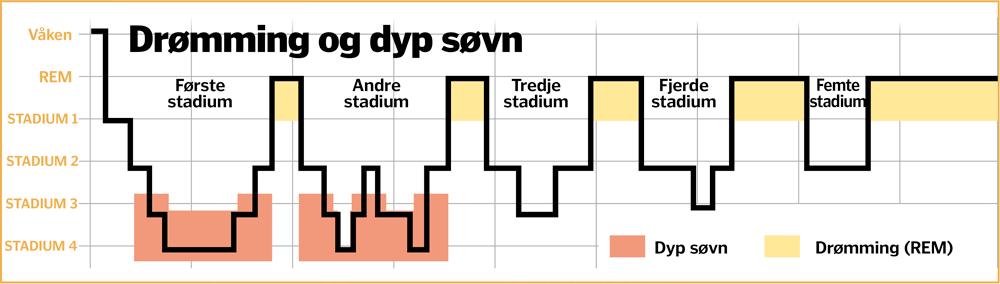 Diagram rem-søvn